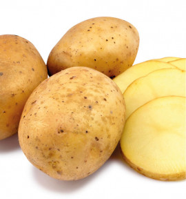 POMME DE TERRE EL MUNDO