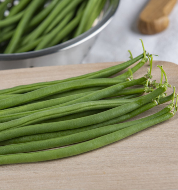 HARICOT NAIN GRILLON