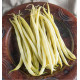 HARICOT NAIN MANGETOUT STENTOR