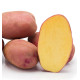 POMME DE TERRE CAMEL