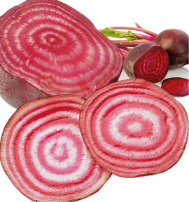 BETTERAVE DE CHIOGGIA
