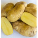 POMME DE TERRE GOURMANDINE