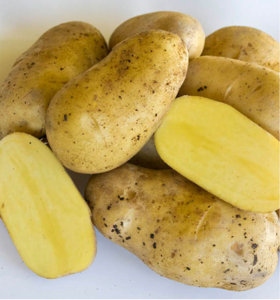 POMME DE TERRE GOURMANDINE