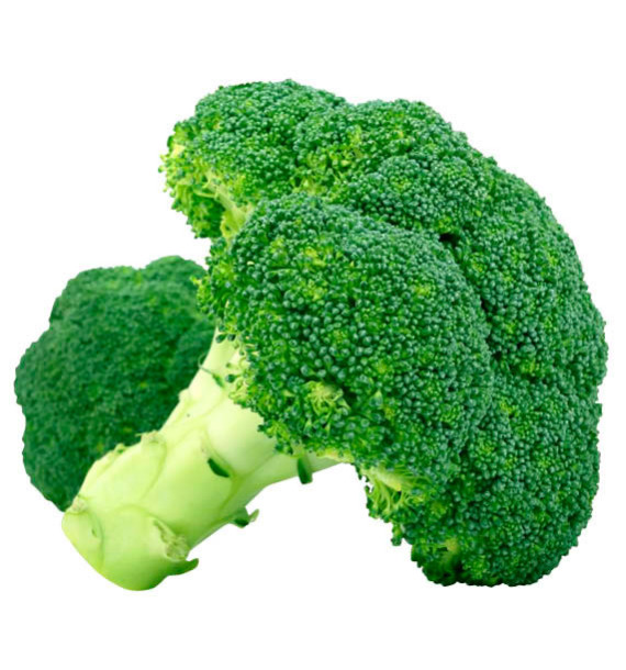 CHOU BROCOLI KOROS F1