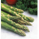 ASPERGE VERTE VOLTAIRE F1