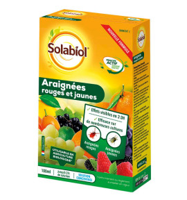 ARAIGNEES ROUGES ET JAUNES