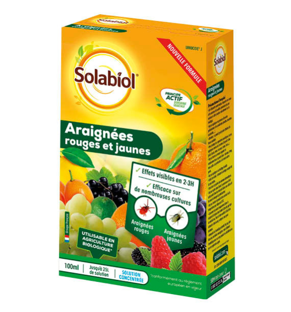 ARAIGNEES ROUGES ET JAUNES