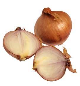 ECHALOTE MALTESSE