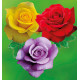 COLIBRIANT 3 ROSIERS BUISSONS : 1 GOLDSTAR + 1 BLUE MOON + 1 PARFUM MAGIQUE 1 GOLDSTAR