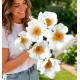 PIVOINE KRINKLED WHITE