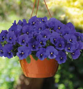 PENSEE TOP WAVE™ BLUE BLOTCH