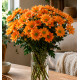CHRYSANTHEME ORANGE