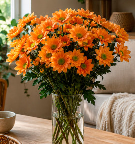 CHRYSANTHEME ORANGE