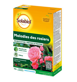 MALADIES DES ROSIERS