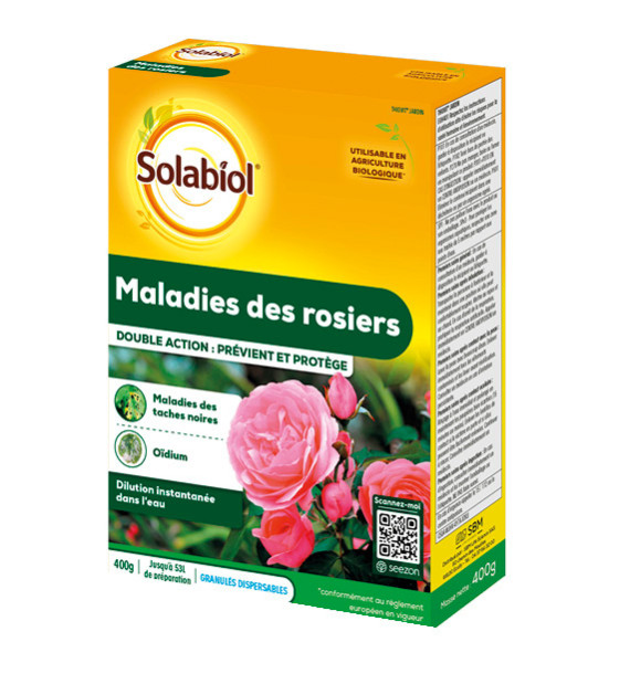MALADIES DES ROSIERS
