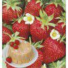 FRAISIER CHARLOTTE