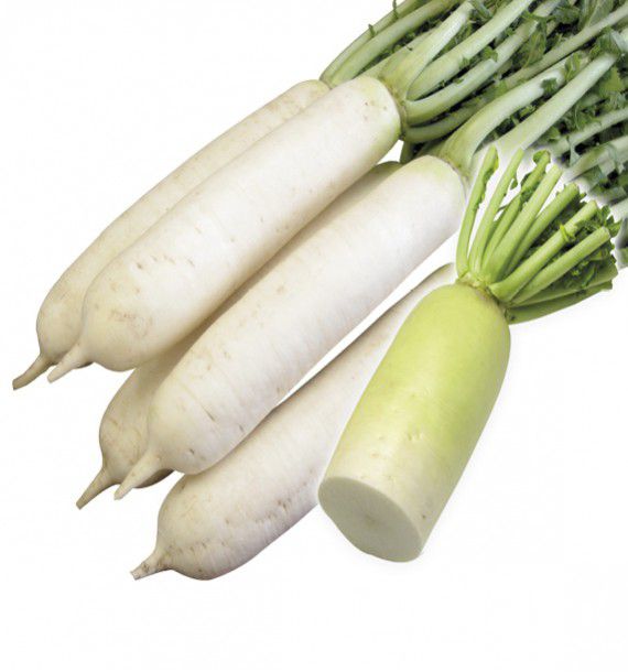 10 graines de navet blanc dur d/'hiver POTAGER legume soleil