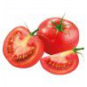 TOMATE FERLINE HYB F1