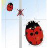 ATTRAPE INSECTES COCCINELLES