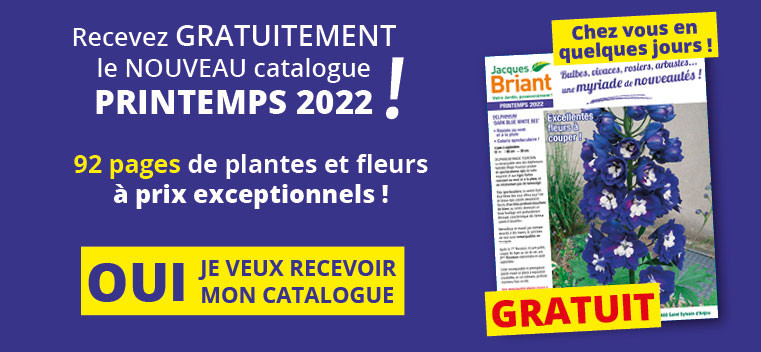 Jacques Briant Catalogue 2022