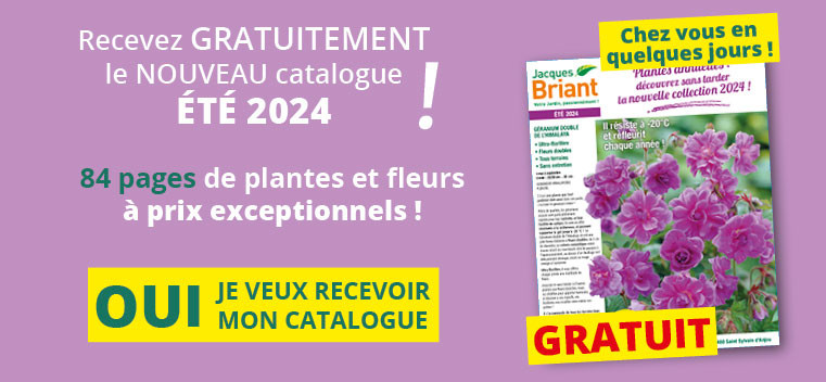 Demandez votre nouveau catalogue ETE 2024 GRATUIT !
