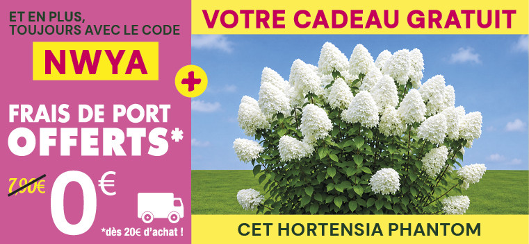 Profitez de -20% sur TOUS nos produits, m&ecirc;me ceux en PROMOTION !