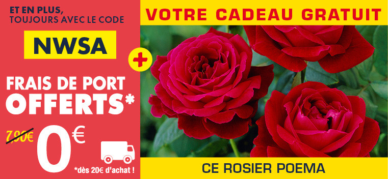 Profitez de -20% sur TOUS nos produits, m&ecirc;me ceux en PROMOTION !