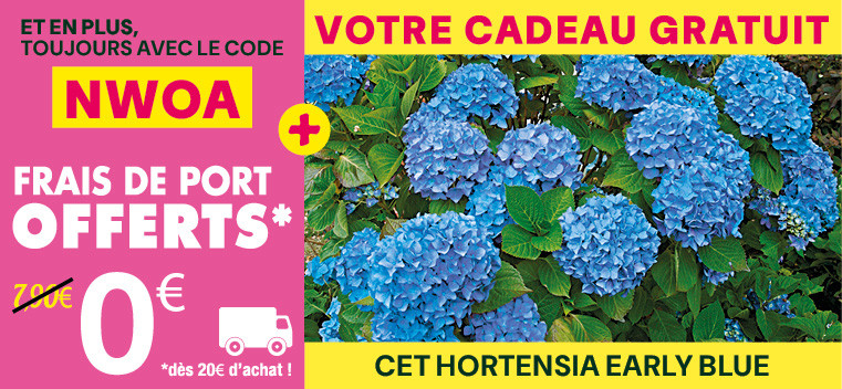 Profitez de -20% sur TOUS nos produits, m&ecirc;me ceux en PROMOTION !