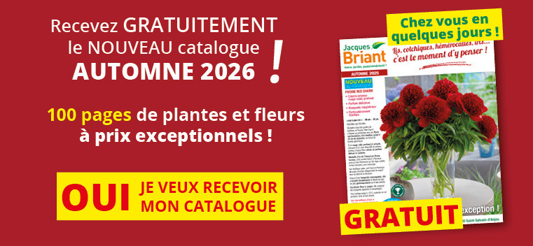 Demandez votre nouveau catalogue AUTOMNE 2026 GRATUIT !