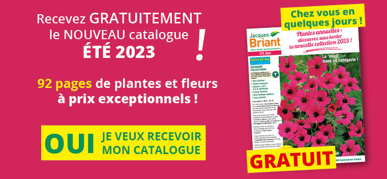 Demandez votre nouveau catalogue ÉTÉ 2023 GRATUIT !