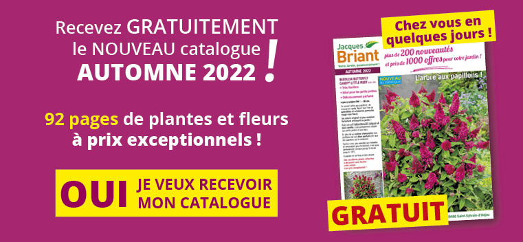 Demandez votre nouveau catalogue Automne 2022 GRATUIT !