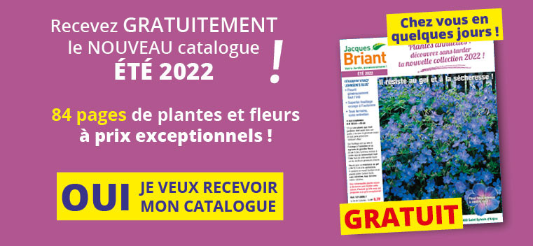 Demandez votre nouveau catalogue Printemps 2022 GRATUIT !