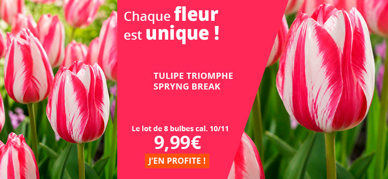 Chaque fleur est unique!