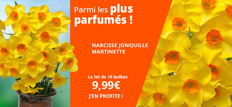 Parmi les plus parfum&eacute;s !