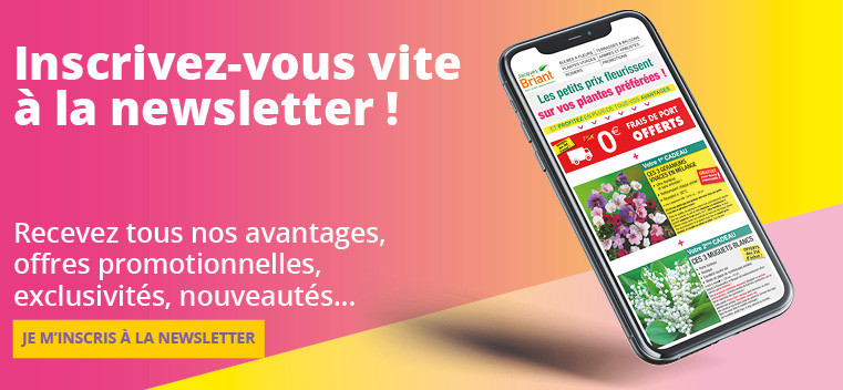 Recevez tous nos avantages, offres promotionnelles, exclusivit&eacute;s, nouveaut&eacute;s...